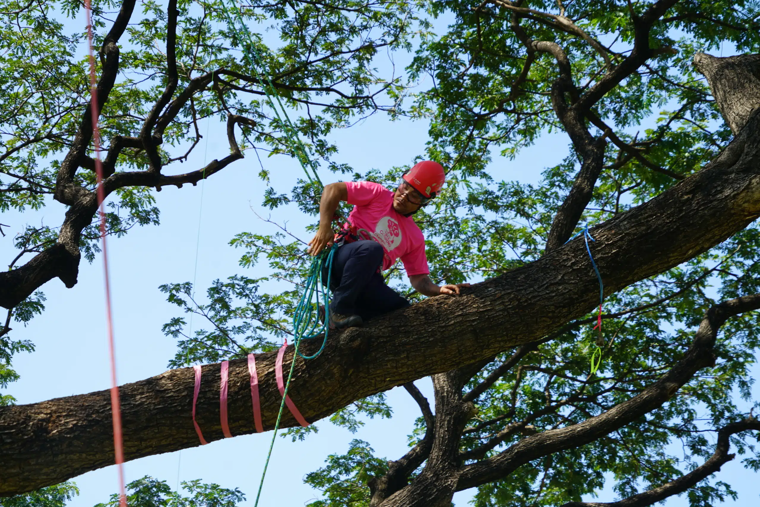 Thailand Tree Climbing Championship 2022